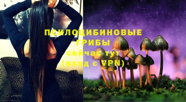 мдпв Кулебаки