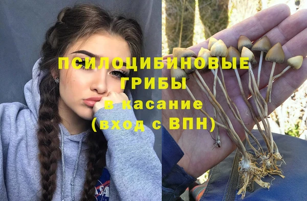 мдпв Кулебаки