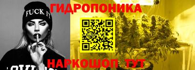 шишки Донецк